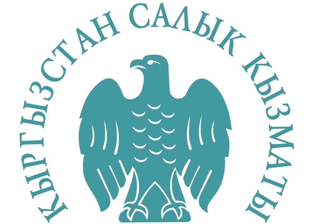 Бишкекскую налоговую службу призвали начать политику по выводу сферы услуг из тени
