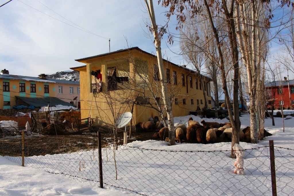 Дома, в которых живут кыргызы в селе Улуу Памир