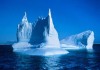 Итальянец проживет год на айсберге у берегов Гренландии