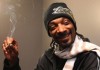 Американский рэпер Snoop Dogg обвинил шведских полицейских в расизме