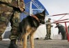 Погранслужба: Обстановка в зоне конфликта на кыргызско-таджикском участке границы остается напряженной