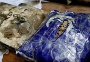 В Кыргызстане в ходе спецоперации «Мак-2011» изъято более 6,5 тонн наркотиков