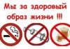 В Бишкеке прошла акция «Мы – за здоровый образ жизни»