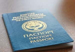 Кыргызстанца, пытавшегося пересечь границу по подложному паспорту, будут судить в России