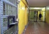 ГСИН разработала законопроект по соцобслуживанию бывших заключенных