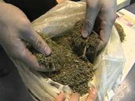 Милиционеры в Тюпском районе задержали подозреваемого в незаконном хранении 4 мешков марихуаны