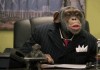 В депутатском корпусе есть 7 «обезьян»