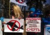 В Бишкеке прошел митинг против дельфинария (видео)
