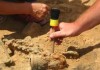 Британские археологи нашли скелет пирата на детской площадке
