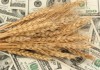 Кыргызстан сократит посев зерновых из-за отмены НДС на казахскую и российскую продукцию