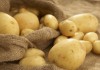 Минсельхоз: Фермеры прогорели на выращивании картофеля в надежде экспортировать его в страны ЕАЭС