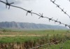 Гражданин Таджикистана вырубал деревья на кыргызской границе