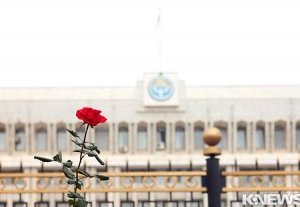 10 декабря в некоторых городах Кыргызстана пройдет акция «Роза навсегда»