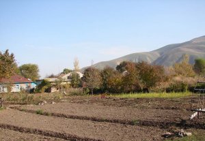 Жители села Новопавловка просят новые власти вернуть им заработанные земли