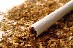 Кыргызстану выдали 32 миллиона сомов в виде кредита крестьянам-производителям табака