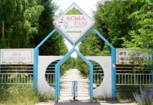 Пострадавшие в драке в селе Бостери находятся в больницах Бишкека