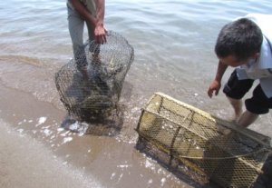 Ущерб рыбной отрасли от браконьерства составил 2 миллиона сомов