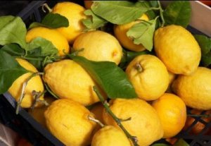 Грузинского бизнесмена из-за долгов и некачественных лимонов похитили местные партнеры