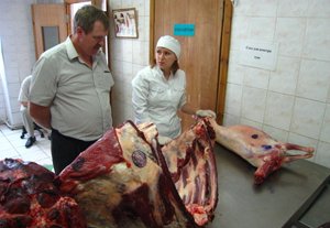Департамент ветеринарии: Ящура  на юге Кыргызстана нет