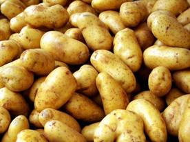Казахстан ввел ограничения на поставку картофеля и капусты из Кыргызстана, фермеры несут урон