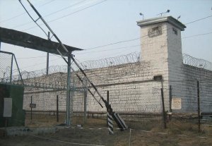 В Кыргызстане почти во всех исправительных учреждениях объявлена голодовка