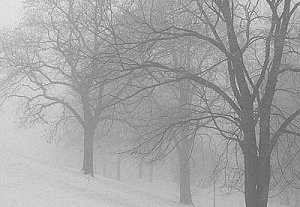 Прогноз погоды на 28 января: туман и гололедица