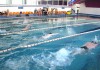 Воспитанники СДЮШОР «Дельфин» завоевали 19 первых мест на республиканских соревнованиях по плаванию