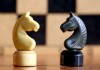 Шахматисты обратились к премьер-министру с просьбой навести порядок в Федерации шахмат