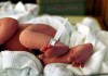 В День матери в Оше родились 24 малыша