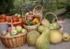 Мэрия Бишкека приглашает на ярмарки сельхозпродукции