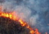 Близ Бишкека горит сухотравье на площади в 500 гектаров