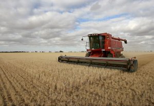 Алмазбек Атамбаев: «Разрабатывается проект долгосрочного лизинга сельхозтехники для фермеров»