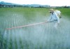 Представители китайской компании предложили Кыргызстану пестициды по выгодным ценам