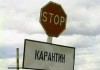 МВД выставило 10 эпизоотических постов на автотрассе Бишкек-Ош
