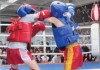 В Кыргызстане пройдет чемпионат по тайскому боксу среди юниоров