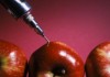 Депутат: Кыргызстан не сможет ввести запрет на ввоз продуктов с ГМО из-за членства в ВТО
