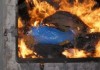 В котельной «Бишкектеплоэнерго» сожгли более 150 килограммов наркотиков