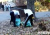 Иса Омуркулов присоединился к акции «Республики» по очищению столицы