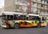 СДПК запустила проект, который продвинет Бишкек в разряд креативных городов