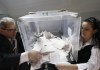 Многие УИКи не позволили наблюдателям ознакомиться с реестром обращений о голосовании «на дому»