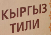 Эксперт об обязательном владении кыргызским языком госслужащих: Эти действия будут потихоньку отчуждать профессионалов от госслужбы