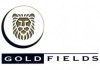 «Голд Филдз» стремительно развивает медно-золотой проект «Вуджем» в Канаде