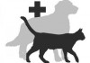 В Кыргызстане проводят массовую профилактику эхинококкоза у собак и кошек
