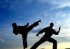 В Бишкеке пройдет чемпионат по японскому боевому искусству будзюцу