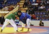 Борьбу алыш включили в программу Азиатских игр 2014 года