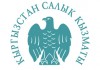 Жанторо Сатыбалдиев: ГНС не работает с недобросовестными работодателями