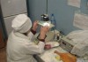 Ветеринарная инспекция должна быть самостоятельным органом