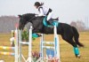 В Бишкеке завершился открытый чемпионат по конному спорту