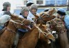 В Бишкеке пройдут соревнования по кок-бору