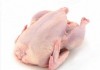 В Кыргызстане задержали 50 тонн контрабандного куриного и утиного мяса из Китая